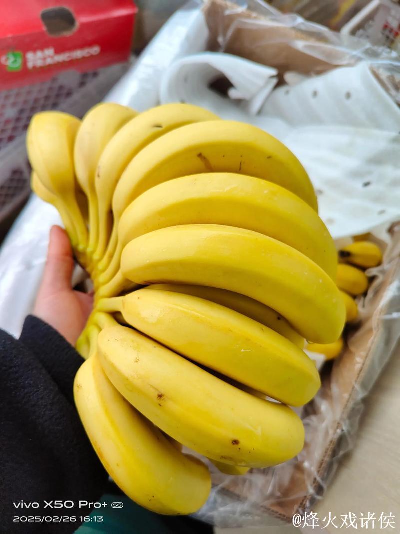 国产精品视频一级香蕉 国产精品视频一级香蕉